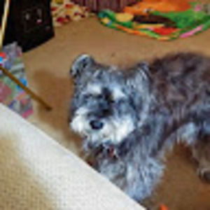 Meet your Posher, Cathy